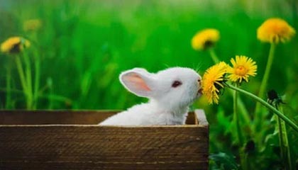 山西伴游，定制QQ：3494206190微信：act1322